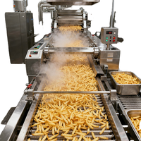 Complete automatische diepvriesfrieten turnkey verwerkingslijn 304 SS voor aardappel-friet voedselverwerkingsbedrijf CE ISO fabriek