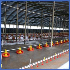 <span class=keywords><strong>Broiler</strong></span> ebeveyn stok için otomatik kanatlı besleme makinesi motorlu hayvan kafesleri ile tarım damızlık ev zincir sistemi kullanılır - Product Image 3