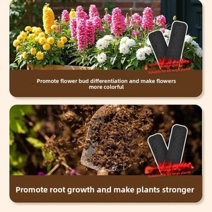<span class=keywords><strong>Fertilizante</strong></span> en Barra de Liberación Lenta Aishangke DAP Spiny Plant para Jardinería Doméstica - Uso <span class=keywords><strong>Universal</strong></span> de Larga Duración - Product Image 4
