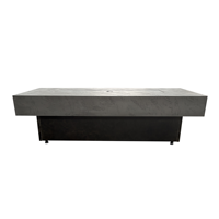 Profitez d'une cheminée de table moderne au gaz naturel 55x23 50000 BTU en métal thermolaqué autoportante avec trois options de hauteur pour patio