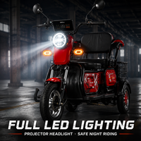 Tricycle Électrique à 3 Roues Direct Usine, Moteur Arrière 800W, Batterie 60V 20Ah, Acier Carbone, Passager, Certifié CE, Vente en Gros
