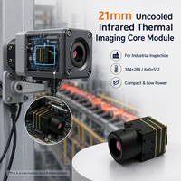 Module de caméra thermique non refroidie 21 mm 640x512 384x288 12 µm VOx LWIR pour inspection industrielle Caméra infrarouge