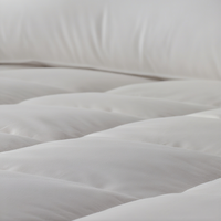 Surmatelas en coton de style hôtel 5 étoiles, épaissi, chaud, respirant, lavable, anti-acariens, antibactérien, usage hospitalier