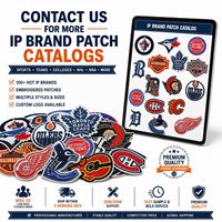 Patchs brodés thermocollants ou à coudre pour maillots de sport, logos d'équipes, écussons, mascottes (hockey, basketball, baseball)