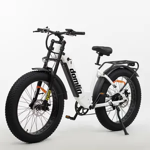 7Speed Steel Integrated Lithium Battery 1000W Multiple Classic City Commuting Electric Bike