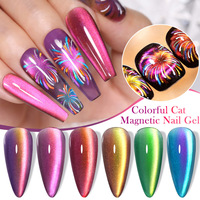 6 couleurs de haute qualité pour les yeux de chat Gel polonais UV soie pour les yeux de chat 10ml vente en gros Double couleur pour les yeux de chat UV Gel polonais
