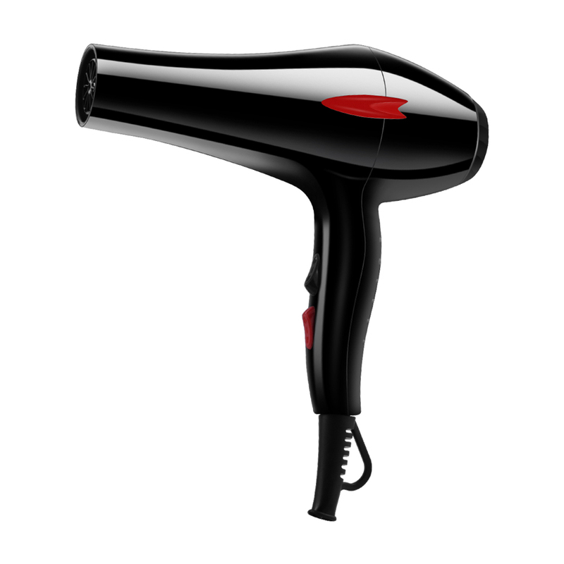 ZP 2500 Professional Hair Dryer With
