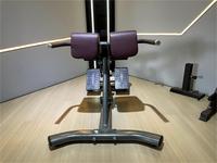 Gym Fitness Equipment Développeur Chaise romaine Banc de musculation Hip Trust Chaise romaine Banc de musculation Hip Trust Machine Back Extension