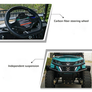 8 coches turísticos eléctricos escénicos para hoteles y aeropuertos, carros de golf eléctricos con alta estética - Product Image 4