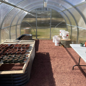 <span class=keywords><strong>Mini</strong></span>-<span class=keywords><strong>serre</strong></span> à haute étanchéité Sigma avec structure de ventilation latérale en métal anti-corrosion, abri de plantation durable pour jardin - Product Image 1