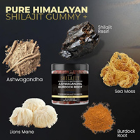Gummies de Shilajit Pur de l'Himalaya Marque Blanche OEM avec Ashwagandha pour l'Énergie, le Soutien Immunitaire et la Santé Globale des Hommes et des Femmes