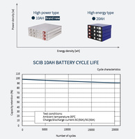 Cellules de batterie LTO Yinlong SCiB 2.3V 10Ah 20Ah 24Ah à décharge rapide 70C, modèles 66160 66260, et cellules de batterie 2.4V 20C 30Ah 40Ah 45Ah