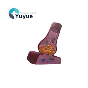 Modèle de structure de <span class=keywords><strong>la</strong></span> synapse neuronale et de <span class=keywords><strong>la</strong></span> fibre nerveuse - Modèle pédagogique d'enseignement de <span class=keywords><strong>la</strong></span> neuroanatomie pour l'éducation en <span class=keywords><strong>neurosciences</strong></span> - Product Image 1