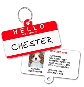 Pendentifs d'émotion amusants pour animaux de compagnie : colliers expressifs pour l'entraînement comportemental des chats et des chiens - Product Image 1