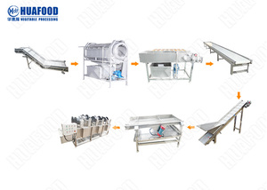 Linea di Pulizia Carote ad Alta Capacità per Produttori Industriali e Coltivatori Commerciali - Product Image 2