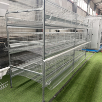 Cage à poulets de type H pour l'élevage de poules pondeuses, cages automatiques pour l'agriculture avicole, cages à batterie pour poulets, poulailler galvanisé, cage à poulets en vente