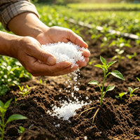 Polymère Super Absorbant (SAP) Hydrogel Agricole et Forestier, Retenue d'Eau, Conditionneur de Sol pour la Repiquage d'Arbres et les Cultures