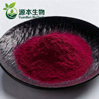 Pincredit fournit de la poudre de betterave rouge séchée à l'air chaud, complément alimentaire USDA.