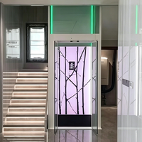 Ascensore per Casa a 2-3 Piani, Elevatore Domestico, Ascensore per Villa, Piccolo Ascensore Interno ed Esterno