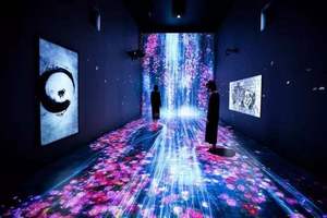 Exposición de Museo de Arte Proyector de mapeo inmersivo 3D Holograma 3D Proyección de piso de Pared Interactiva para Exposición de museo de arte - Product Image 3