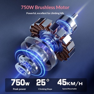 <span class=keywords><strong>Bicicleta</strong></span> Eléctrica con Motor Delantero de 750W, sin Escobillas, de Aluminio, con Amortiguación y Larga Duración, Venta al Por Mayor en Almacén de Fábrica en el Extranjero - Product Image 5