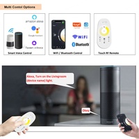 Controlador de Tira LED CCT Inteligente Tuya, 24V Bicolor Cob 2835, Blanco Ajustable, WiFi, Control por Voz Alexa, Control Remoto Táctil 2.4g, 1 Canal, 288W