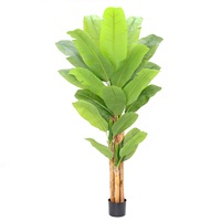 Pohon Pisang Buatan Daun Besar Bahan PE Ramah Lingkungan Tahan UV Tanaman Hias Lanskap Dalam Ruangan 100cm-400cm Hotel