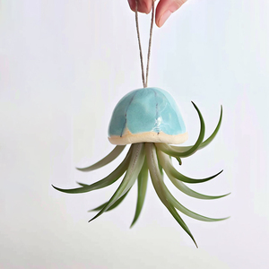 Novedad y creativa, decoración de cerámica para el hogar, piedra colgante, medusas, plantas de aire - Product Image 2