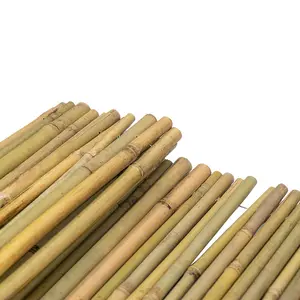 Tongkat bambu bahan alami 100% dibuat untuk pagar taman bambu