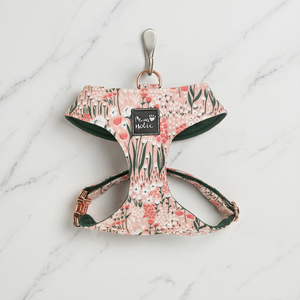Small Size Cotton Comfortable Fashion <b>Dog</b> Harness Cat Harness Fashion Cute Adjustable Cute Buckle Closure for Pets Wholesale - Product Image 1