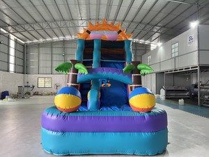 Phao trượt nước nhiệt đới thương mại, phao trượt nước khổng lồ, phao bơi, lâu đài phao có cầu trượt - Product Image 2