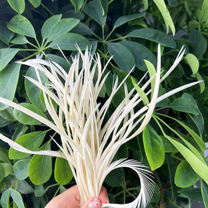 12-18cm/50 miếng 1 gói Lông Ngỗng Chất lượng cao mới Tự Làm Thủ công mỹ nghệ lông ngỗng lụa một mặt - Product Image 3