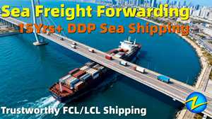 Spedizione Marittima DDP da Shenzhen, Zhuhai, Shanghai a Singapore, Bintulu, <span class=keywords><strong>Kota</strong></span> <span class=keywords><strong>Kinabalu</strong></span>, Kuching, Logistica e Spedizioni dalla Cina - Product Image 6