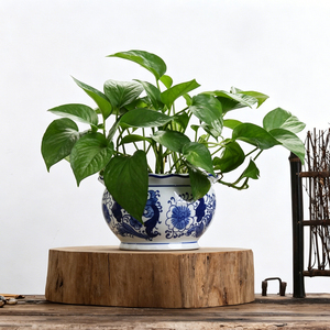 Vente flash : Jardinière ovale en céramique antique avec <span class=keywords><strong>pieds</strong></span>, motif floral vintage, pots en céramique, bassin en porcelaine pour la décoration de la maison et du jardin - Product Image 4