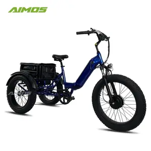 Long Range Etrike 24 Inch Fat Tire Điện Ba Bánh Với Khung Gấp