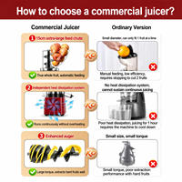 Extracteur de jus vertical commercial, presse‑agrumes pour gingembre et herbe de blé, centrifugeuse à mastication commerciale
