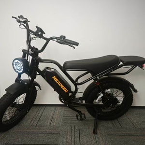 Bicicleta Eléctrica en Oferta, Envío desde Almacén en EE. UU. y Europa, Precio Directo de Fábrica, Bicicleta Eléctrica Delgada con Motor de 250w - Product Image 1