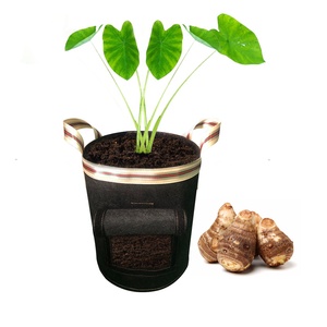 <span class=keywords><strong>Maceta</strong></span> con mango personalizada, bolsa de jardín de fieltro de 3/5/7 galones, bolsas de cultivo de tela no <span class=keywords><strong>tejida</strong></span>, color negro, venta al por mayor - Product Image 1