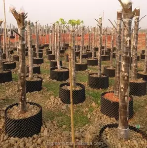 สวนพลาสติกเนอสเซอรี่หม้อ Hdpe แกลลอนม้วนควบคุม Air-pruning คอนเทนเนอร์สวนปลูกต้นไม้ Air รากตัดแต่งกิ่งหม้อ