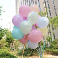 Ballons en latex en gros, 5 pouces, lot de 200 pièces, ballons ronds en latex macaron, hélium, décoration de mariage et d'anniversaire
