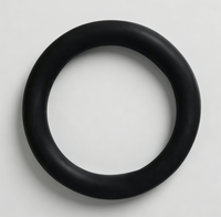 DB06024  Onderdil O-ring Nozzle Printer Inkjet CIJ Seri D, Harga Murah