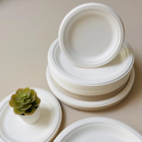 Assiettes ovales jetables écologiques de haute qualité, vaisselle réutilisable biodégradable en bagasse de canne à sucre pour restaurants, vente chaude