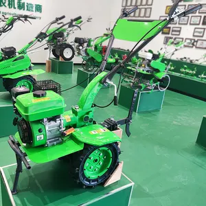 Tder China Landbouw Machine Kleine Rijst Mini Maaidorser