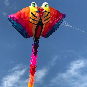 15M 30D Thunder Devil Fish Soft <span class=keywords><strong>Kite</strong></span> Nylon Cerf-volant gonflable Résistant à la déchirure Sports de plein air Compétition - Product Image 4