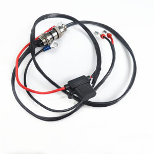 工厂定制汽车燃油喷射系统线束发动机线束定制卡车拖车电源线组件用于电动汽车 - Product Image 4