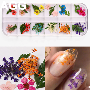 <span class=keywords><strong>AGG</strong></span> di Alta Qualità 12 di Colore Reale Bulk Secchi Fiore Secco per 3D Gel Acrilico Punte False Del Chiodo Decorazioni di Arte - Product Image 3