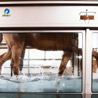 EUR VET Nouveau design Équipement vétérinaire Entraînement équestre Récupération Hydrothérapie équine Systèmes de tapis roulant pour chevaux