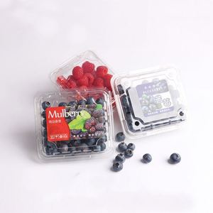 Almohadillas para Frutas, Fresa/Arándano, 76x76mm, Venta al por Mayor para Supermercados, Almohadillas Absorbentes de Agua de Alta Calidad para Carne de Pollo y Aves, Grado Alimenticio - Product Image 1