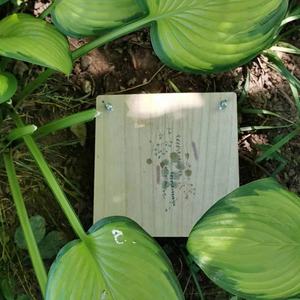 Custom Pressing Leaf Wooden <strong>Flower</strong> <strong>Press</strong> <strong>Kit</strong> for DIY Art Handcraft - Product Image 4