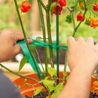 OEM Beschikbaar 30/100M 12/25mm Fabriekslevering Appel Perzik Tomaat Tuin Bindtape voor Dragon Fruit Boom Binden